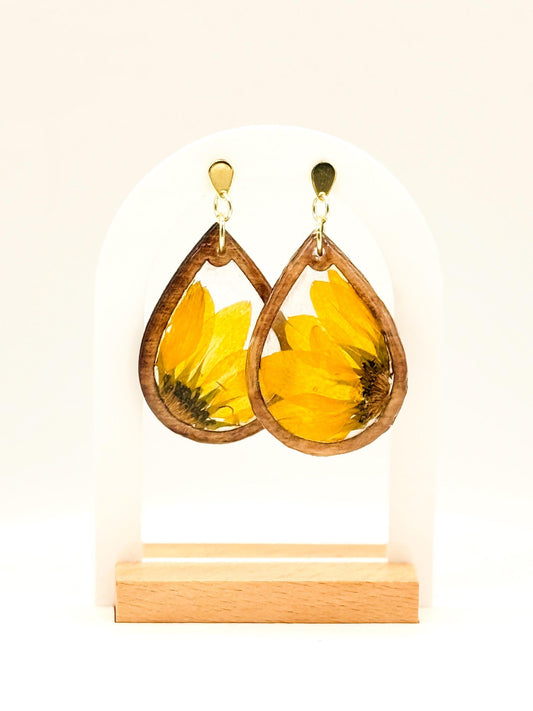 Pressed Sunflower Earrings: Resin & Walnut Wood, Gold Posts