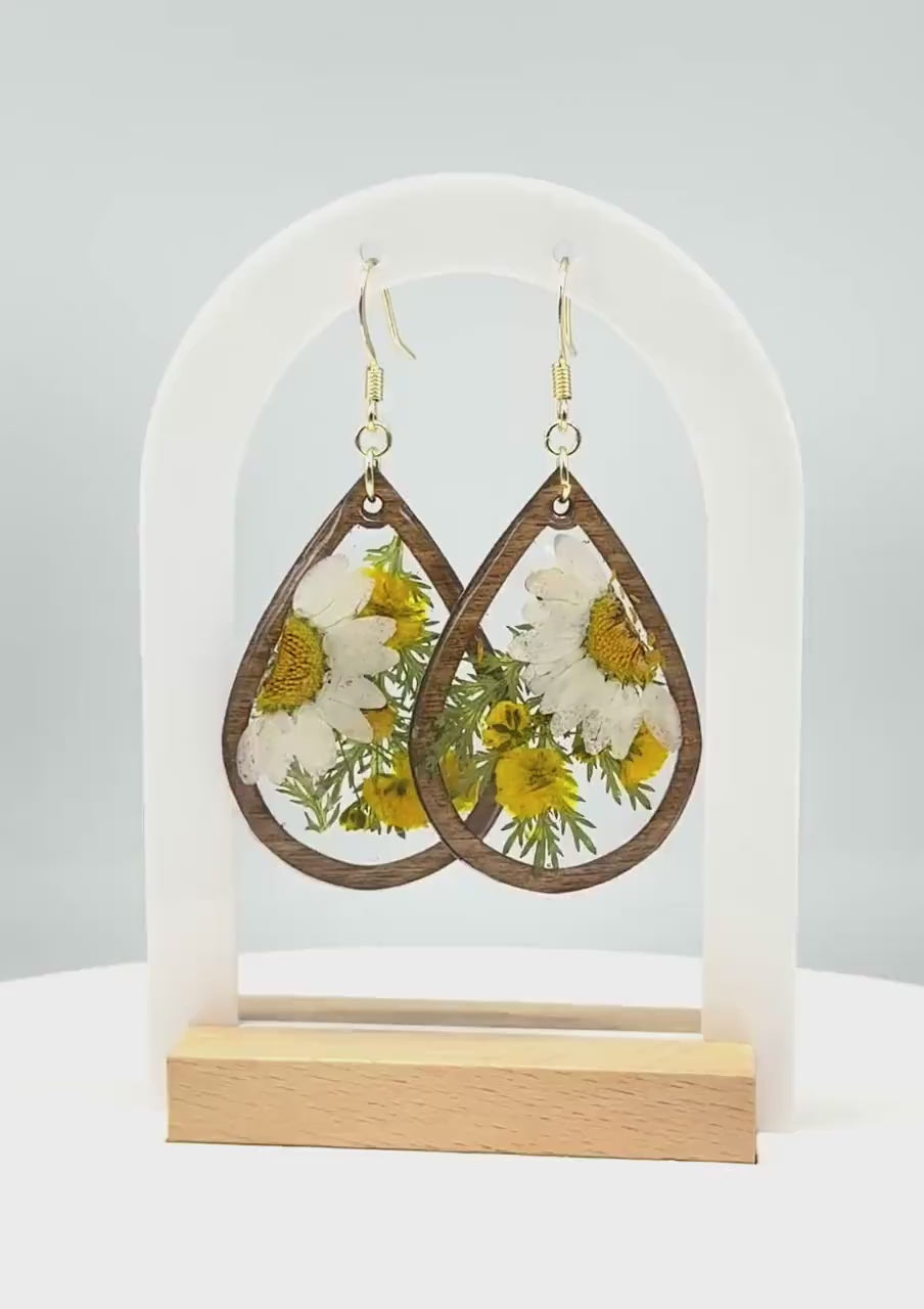 Real Daisy Resin & Wood Teardrop Earrings – Handmade Botanical Jewelry